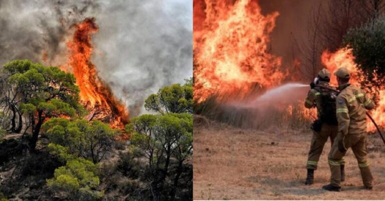 ΕΚΤΑΚΤΟ  – Στις φλόγες το «βουνό των Θεών» – Επί τόπου ισχυρές πυροσβεστικές δυνάμεις
