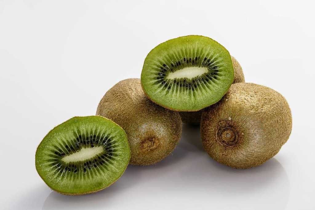 aktinidia arthra agravia 1024x683 1