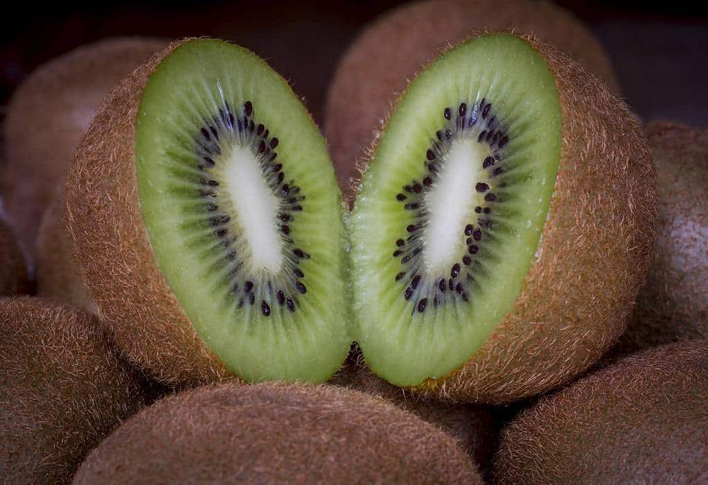 aktinidio
