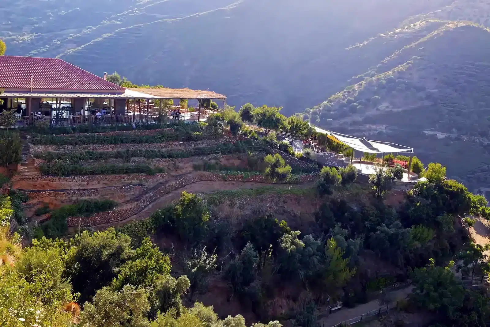 botanical restaurant view