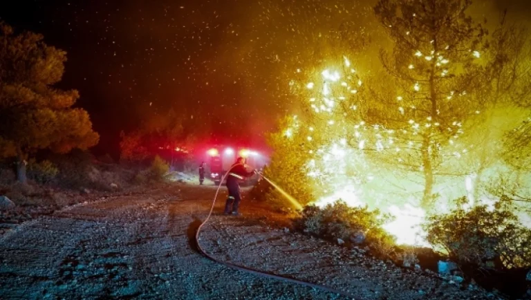 Σε άγριο πτηνό οφείλεται η πυρκαγιά στην Εύβοια: Βρέθηκε απανθρακωμένο κάτω από κολώνα της ΔΕΗ