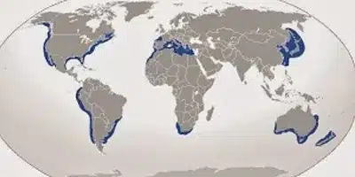 image 1 1