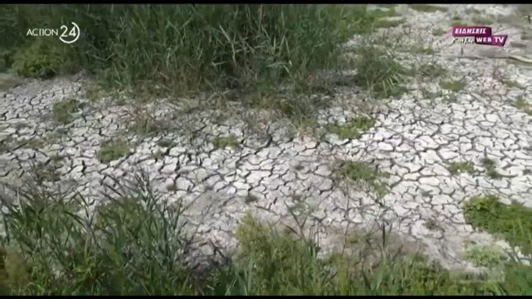 Μεγάλη λίμνη της Ελλάδας εκπέμπει SOS – «Στέγνωσε» από την λειψυδρία