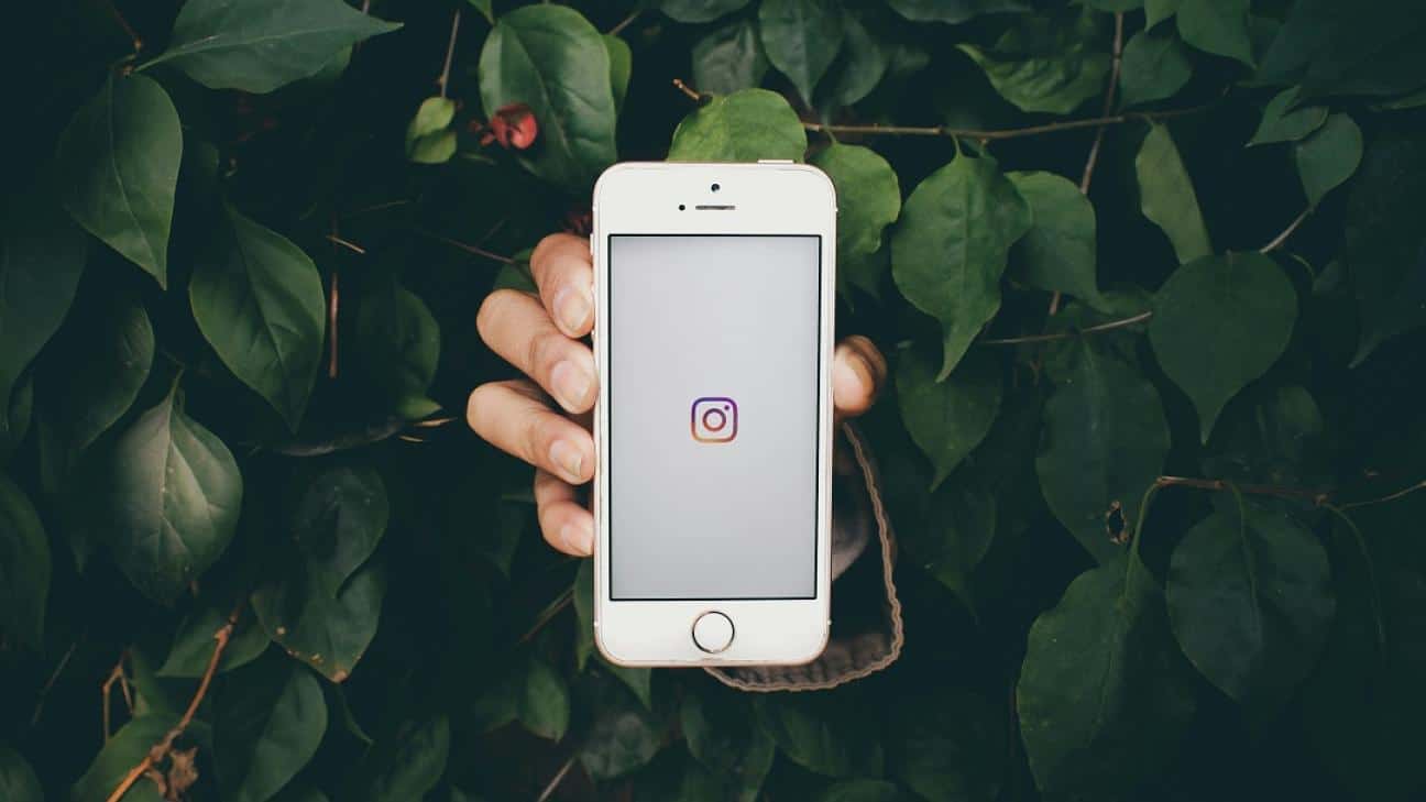 instagram zodia