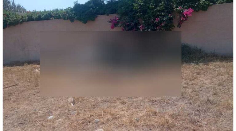 Σαντορίνη: Έδεσαν άλογο και το άφησαν να πεθάνει από τη δίψα κάτω από τον καuτó ήλιο