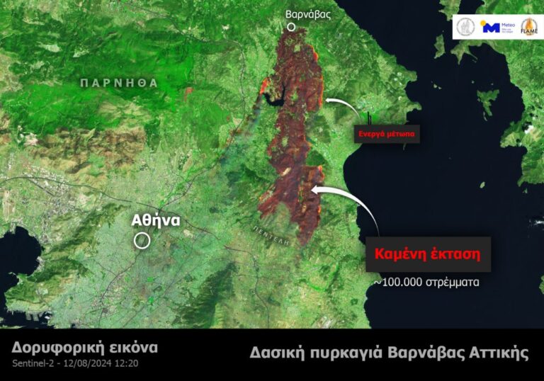 Σοκάρει ο αριθμός – Τόσα στέμματα έχουν καεί μέχρι στιγμής στην Αττική