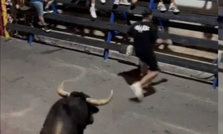 Ταύρος επιτέθηκε σε τουρίστα – Τον πετάει στον αέρα και τον τραυματίζει σοβαρά