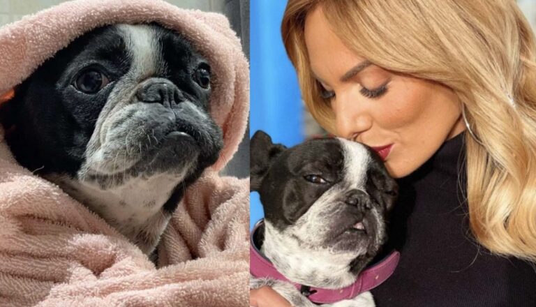 Έξαλλη η  Ιωάννα Μαλέσκου με τα αρνητικά σχόλια για τον θάνατο του σκύλου της –  «Σας λυπάμαι»