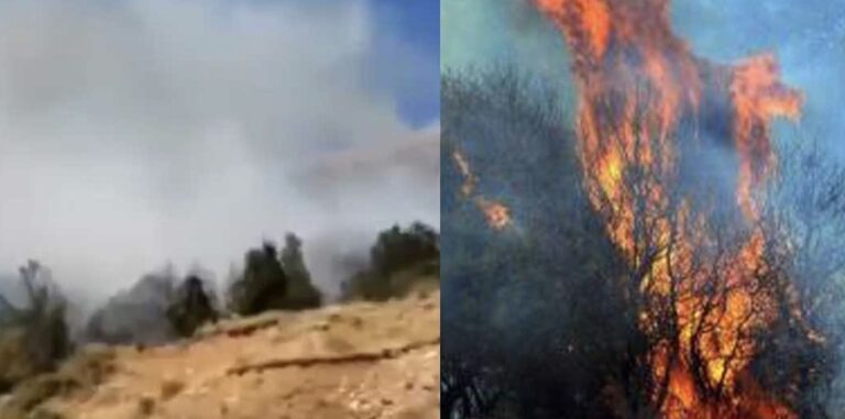 Νέα μεγάλη φωτιά τώρα – Ήχησε το 112 – Συναγερμός στην Πυροσβετική – Σηκώθηκαν εναέρια