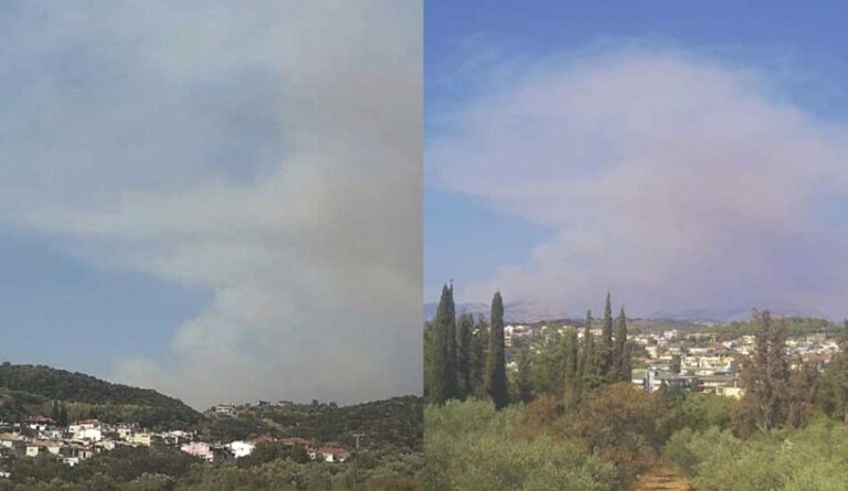 ΕΚΤΑΚΤΟ – Νέα μεγάλη φωτιά Τώρα κοντά από σπίτια – Συναγερμός στην Πυροσβεστική – Εκκενώνεται η περιοχή Παναγία