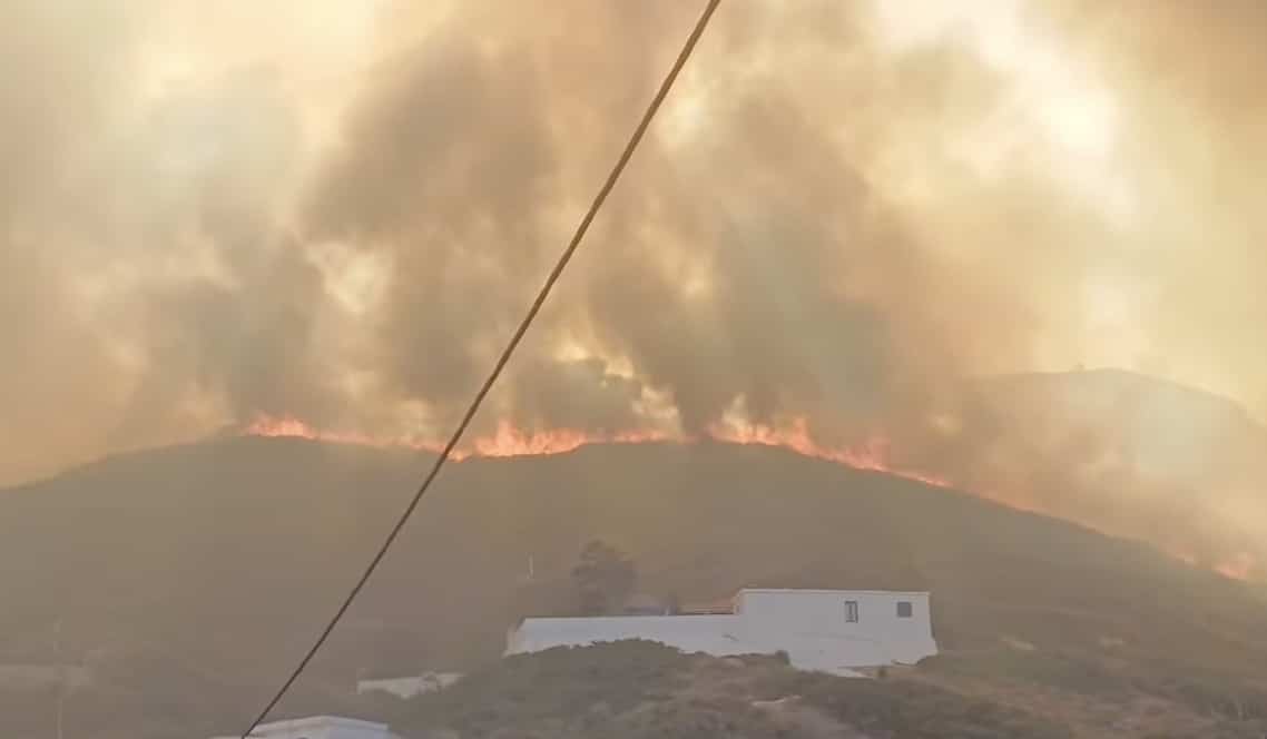 stigmiotypo othonis 2024 08 17 20.19.27