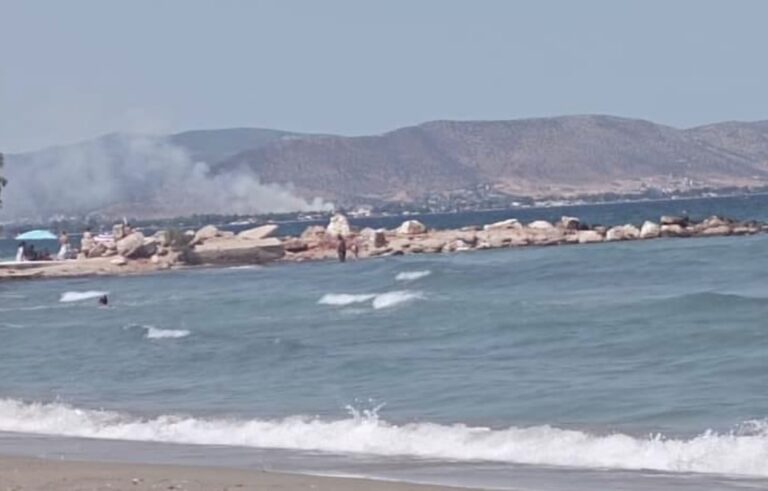 Φωτιά στον Μαραθώνα, επιχειρούν και εναέρια μέσα – Ισχυρές δυνάμεις στην περιοχή