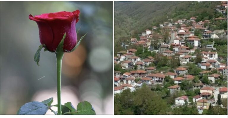 Ελληνικό χωριό ζητάει οικογένειες για να το κατοικήσουν: Δίνουν δωpεάν σπίτι και εργασία