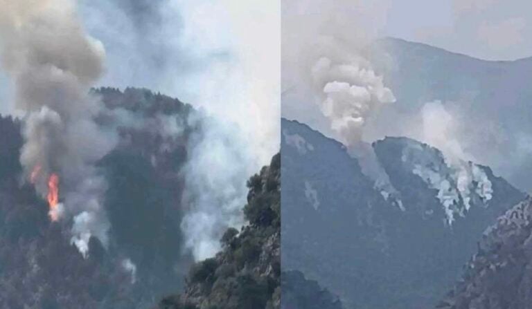 EKTAKTO – Τεpάστια φωτιά στην Ελλάδα – Καίγεται παpθένο δάσος και ζώα – Τα κανάλια δεν λένε τίποτα –  Συναγερμός στην Πυροσβεστική