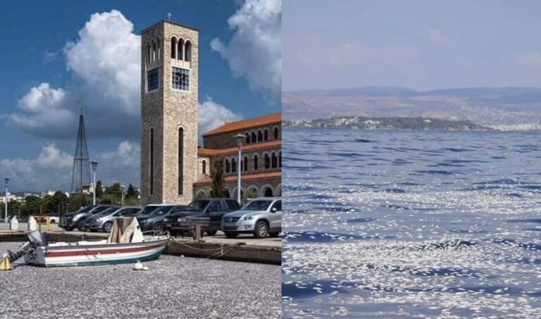 Απίστευτες εικόνες με χιλιάδες νεκρά ψάρια σε λίμνη στην Ελλάδα – Κίνδυνος τεράστιας οικολογικής καταστροφής