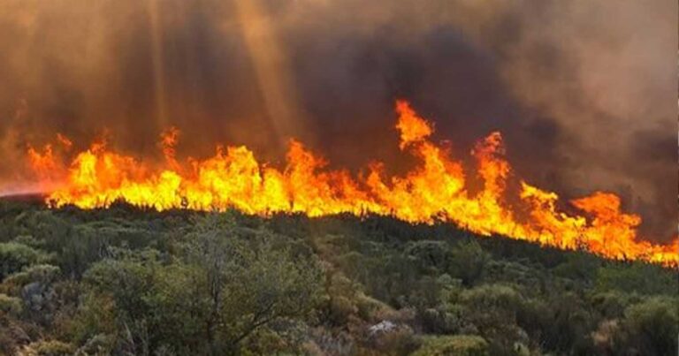 Δυο νέες μεγάλες φωτιά τώρα – Καίγεται πάλι η Ελλάδα