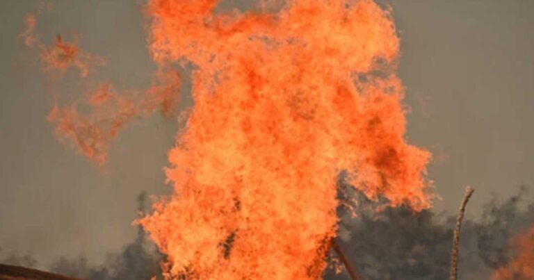 Φωτιά στην Αττική: Νέο μέτωπο στην Άνω Γλυφάδα – 500 μέτρα από τα σπίτια οι φλόγες