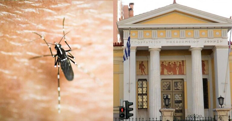 Πρώτο κρούσμα ιού του Δυτικού Νείλου στην Αττική μετά από 3 χρόνια – Σε ποια περιοχή εντοπίστηκε  – Νόσησε και νήπιο 4 ετών