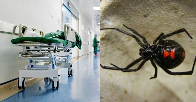 Τα πάνω κάτω στον Πύργο: Η νεκροψία έδειξε τι σκότωσε τον 48χρονο – Και δεν ήταν αράχνη