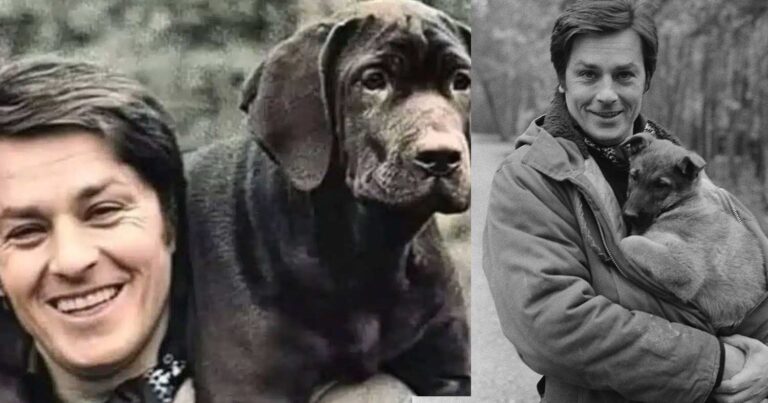 Αλεν Ντελόν: Ο λόγος που φορούσε πάντα στρατιωτικό μπουφάν