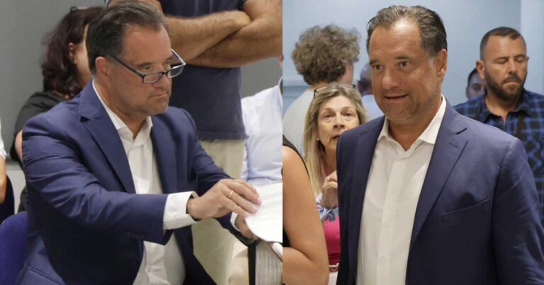 Άδωνις Γεωργιάδης: «Όση σχέση είχαν οι διαμαρτυρόμενοι εχθές στην Πεντέλη με την περιοχή, έχω εγώ με την Γροιλανδία»