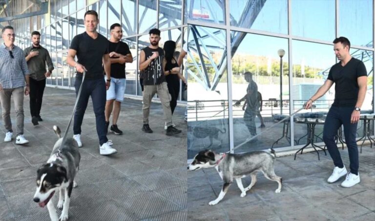 Ο Στέφανος Κασσελάκης υιοθέτησε πυρόπληκτο σκύλο