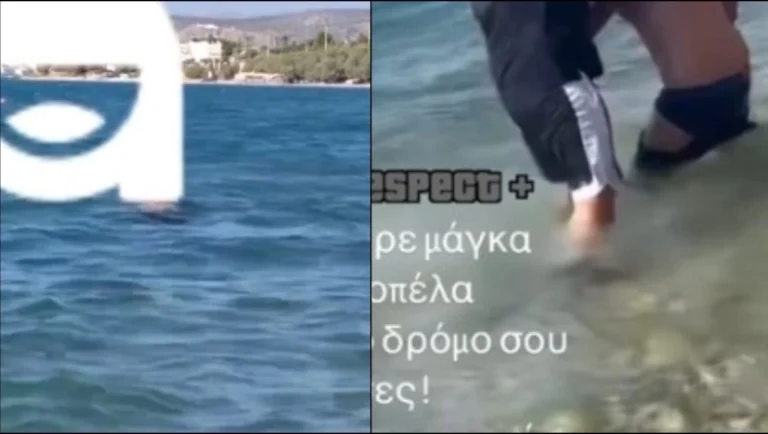 Σαλαμίνα: Άνδρας έσωσε κοπέλα από βιασμό στη θάλασσα μέρα μεσημέρι, «Βγες έξω! Της είπες ότι κρατάς μαχαiρι;»