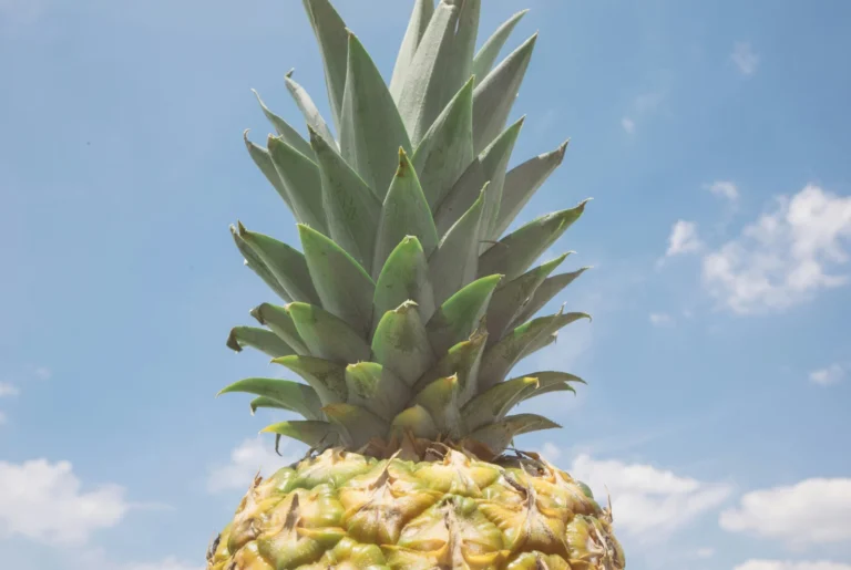 Η «τρέλα του ανανά»: Εργένηδες τρέχουν στα σούπερ μάρκετ και ψάχνουν τον… έρωτα