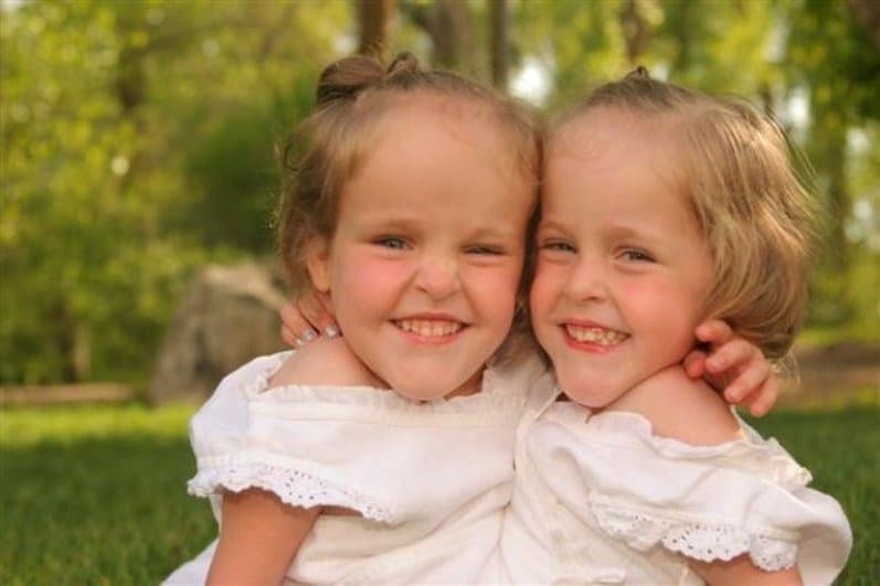 c7dc82f1 f43f 4842 a73a ef93bef3 2