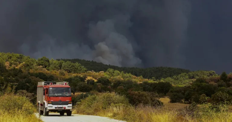 Έβρος: Ένα χρόνο μετά τη φωτιά, βάζουν ανεμογεννήτριες σε βιότοπους
