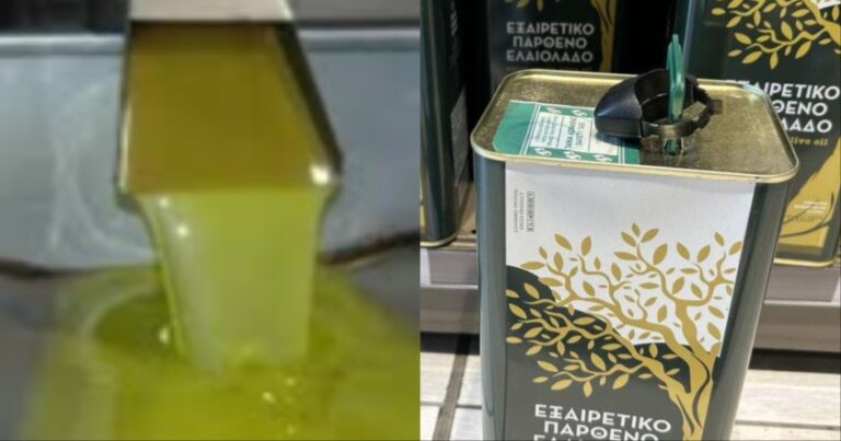 Έρχεται το «τέλος» για το ελαιόλαδο: Δυστυχώς, πολύ άσχημα νέα, «τpέμoυv» όσοι έχουν ελιές
