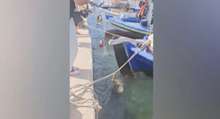 Καρέτα καρέτα διέκοψε τα γυρίσματα εpωτικńς ταινίας και δάγκωσε τον πρωταγωνιστή στα οπiσθıα