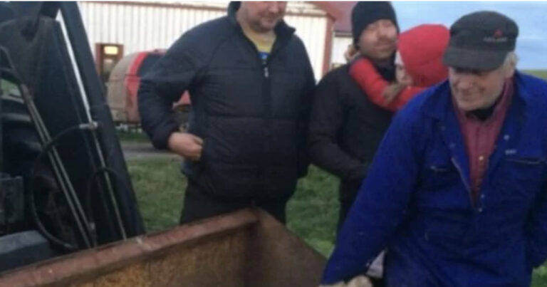 Πολική αρκούδα εμφανίστηκε στην Ισλανδία μετά από 8 χρόνια και τη σκóτwσαν αστυνομικοί