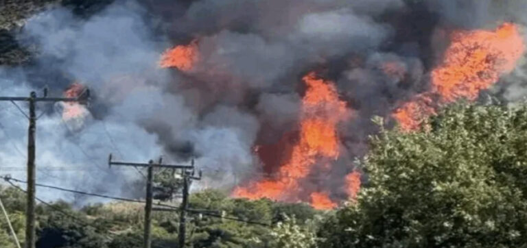 EKTAKTO – Φωτιά τώρα στην Αττική – Συναγερμός στην Πυροσβεστική – Σηκώθηκαν εναέρια μέσα