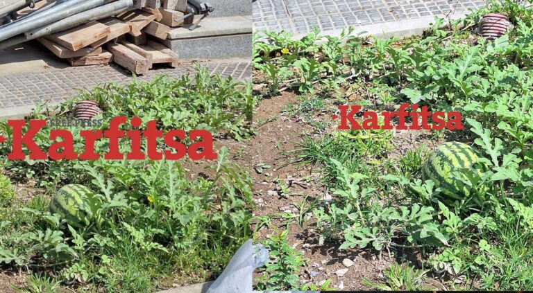 Mετρό Θεσσαλονίκης: Καρπούζι φύτρωσε σε εργοτάξιο του – «Θα το σερβίρουμε στα εγκαίνια»