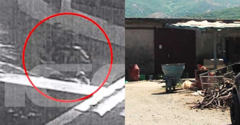 «Φώναζα και μου έκοψαν τη γλώσσα» – Αποτροπιασμός από τα βασανιστήρια στον κτηνοτρόφο