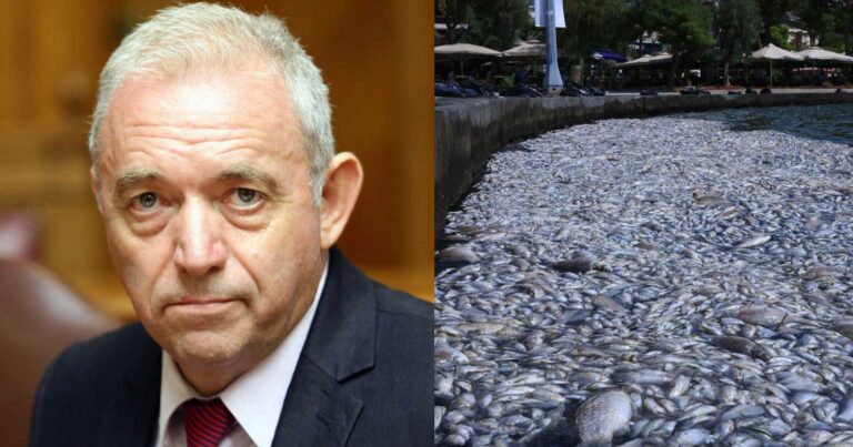 Ο Ευθύμης Λέκκας είπε τη δραματική αλήθεια για τα νεκρά ψάρια στο Βόλο