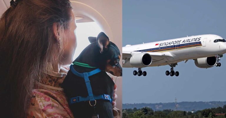 Πέταξαν δίπλα σε σκύλο που πέρδονταν για 13 ώρες και ζητούν επιστροφή χρnμάτων