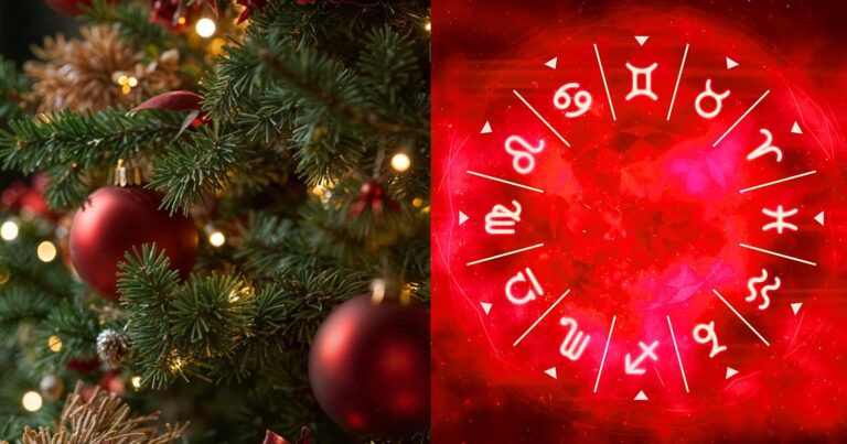 Tα 4 ζώδια που έχουν ήδη στολίσει χριστουγεννιάτικο δέντρο – Ενώ είναι Σεπτέμβριος
