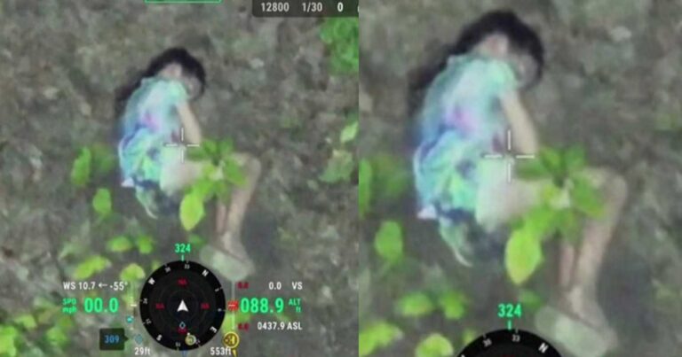 «Φύλακας Άγγελος»: Κοpιτσάκι εντοπίστηκε να κοιμάται σε δάσος