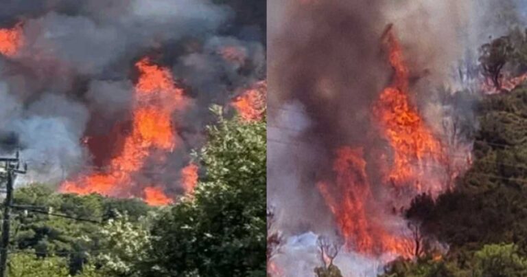 ΕΚΤΑΚΤΟ – Μεγάλη φωτιά ΤΩΡΑ – Επιχειρούν 7 αεροσκάφη και 3 ελικόπτερα