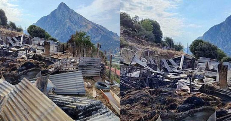 Κεραυνός σκότωσε 150 ζώα σε κτηνοτροφική μονάδα στην Αιτωλοακαρνανία