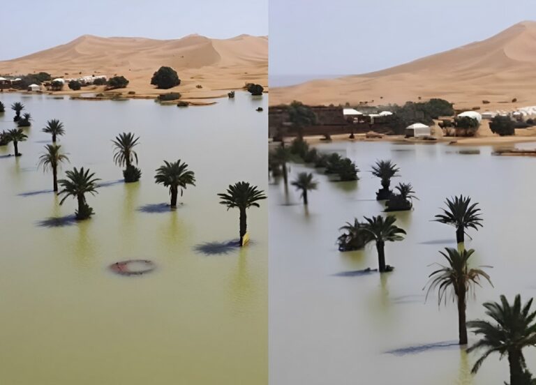 Ο καιρός… τρελάθηκε: Έβρεξε μέχρι και στη Σαχάρα, «πλημμύρισε» η έρημος – Δείτε τις σπάνιες εικόνες