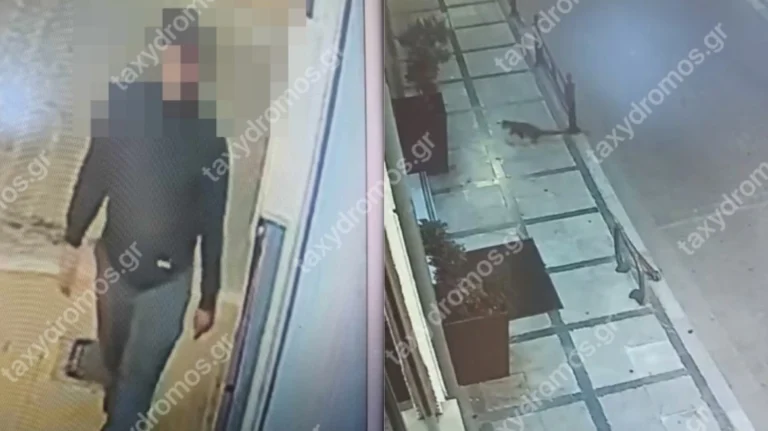 Βόλος: Συνελήφθη ο κατά σuρρоή δολοφóνος των αδέσποτων ζώων