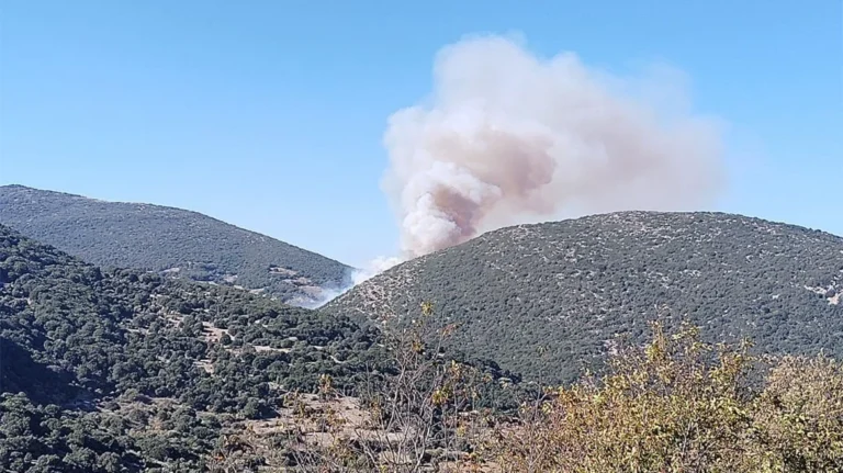 ΕΚΤΑΚΤΟ – Mεγάλη φωτιά εκτός ελέγχου ΤΩΡΑ δίπλα σε σπίτια – Συναγερμός στην Πυροσβεστική