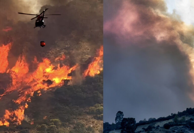 ΕΚΤΑΚΤΗ ΕΙΔΗΣΗ: Νέα Φωτιά τώρα – Καίγεται το δάσος – Σε κατάσταση έκτακτης ανάγκης η Πυροσβεστική