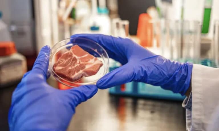 E coli: Σε αυτές τις τροφές που καταναλώνεις καθημερινά κρύβεται το βακτήριο
