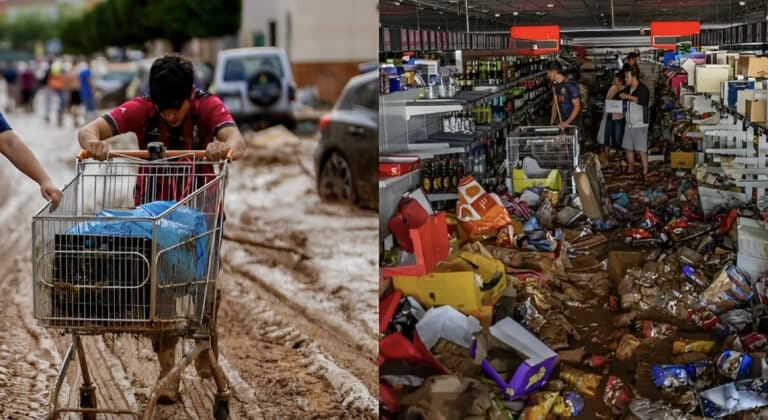 Σπαρακτικές εικόνες στη Βαλένθια: Ψάχνουν νερό και τροφή μέσα στις λάσπες