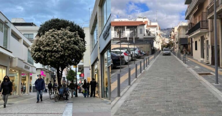Κατάσταση έκτακτης ανάγκης σε μεγάλη πόλη της Ελλάδας: Πρέπει να θανατωθούν 1.700, δραματική η κατάσταση με τα κρούσματα