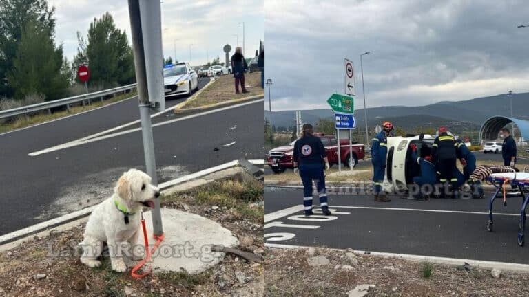 Θρήνος και συγκίνηση στη Λαμία: 54χρονος σκοτwθηκε σε τροχαίο, το σκυλάκι του σώθηκε και τον περίμενε δίπλα να γυρίσει